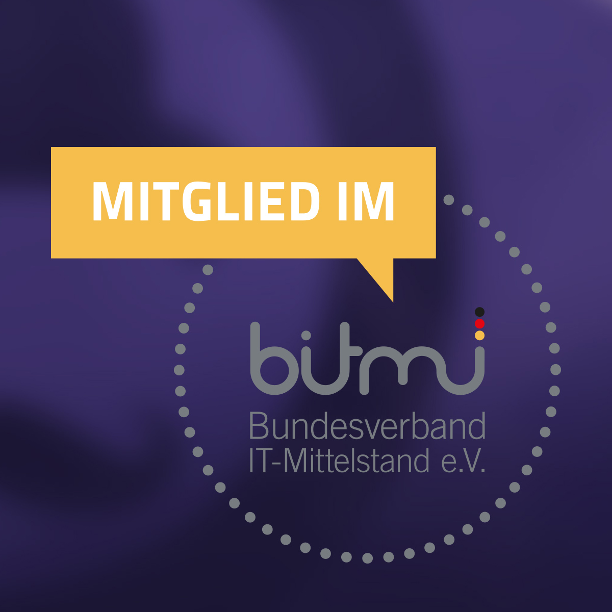 Logo Mitglied im BITMi