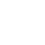 Icon Consulting