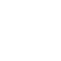 Icon Software