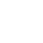 Icon Solutions